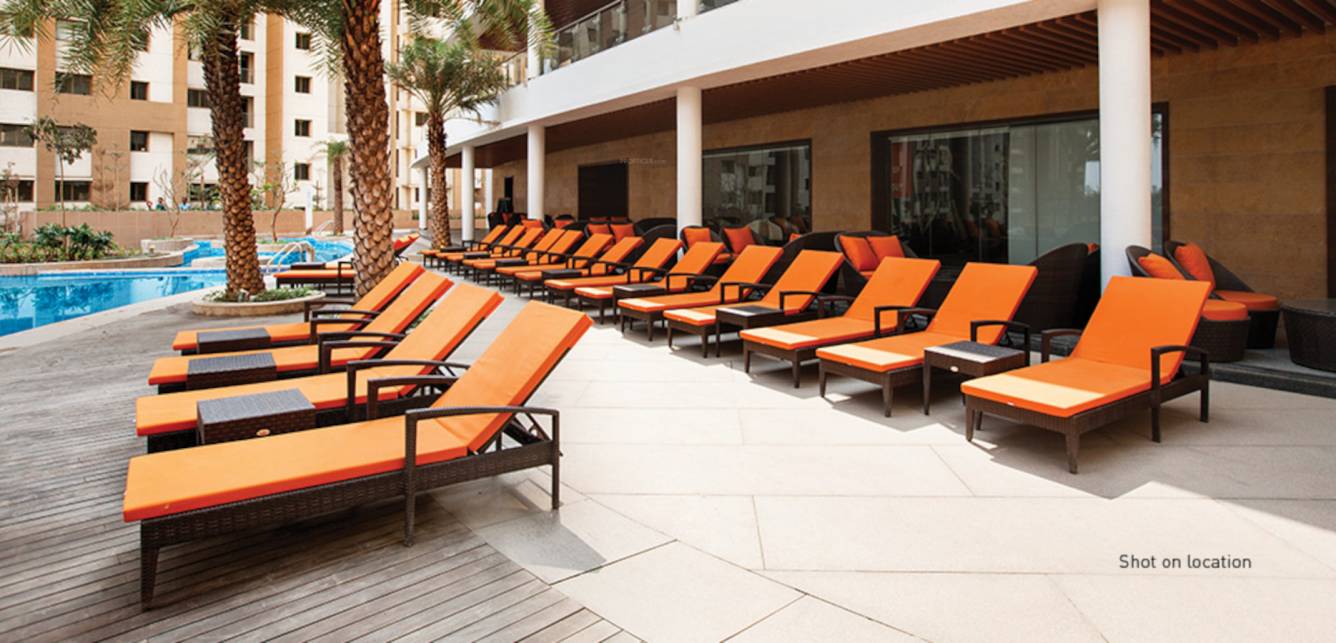  splendora platino b Others