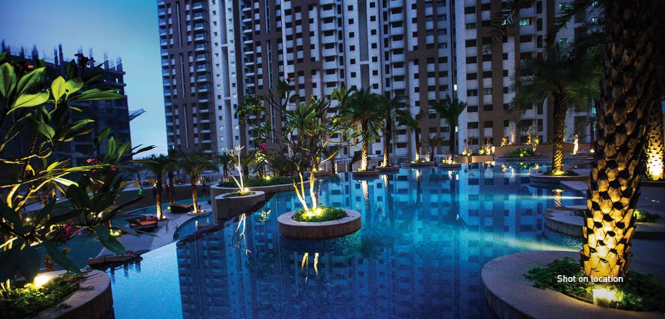  splendora platino b Others