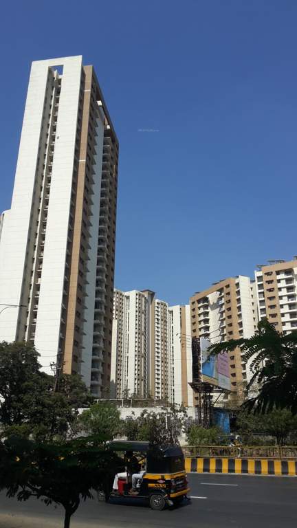  splendora platino e to g vivant a to d Images for Project