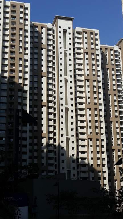  splendora platino e to g vivant a to d Images for Project