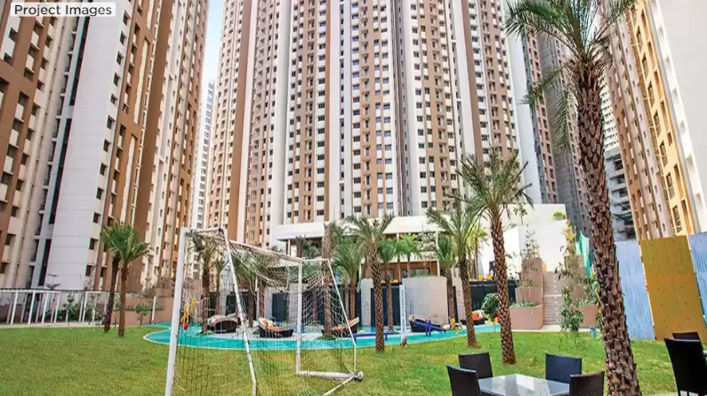  splendora platino d Elevation