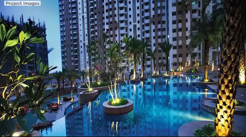  splendora platino d Elevation