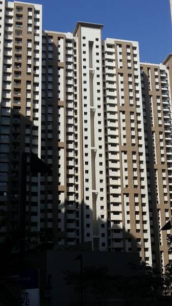  splendora-platino-d Images for Project