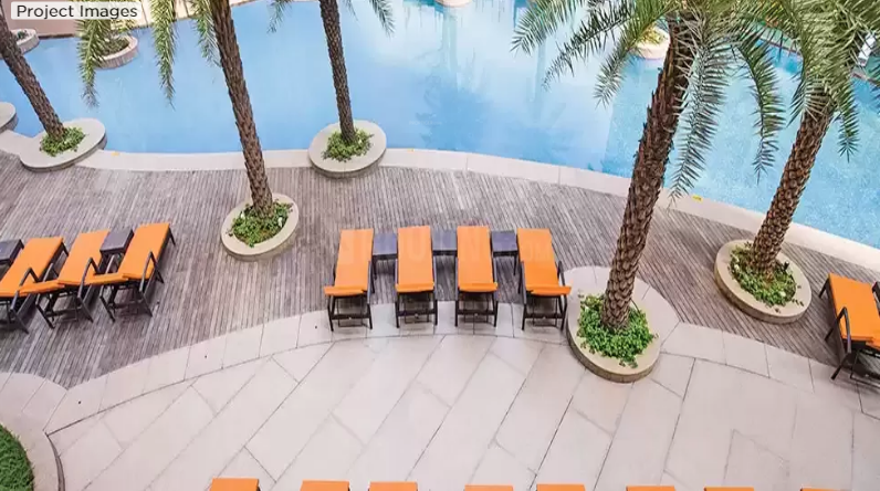  splendora platino d Others