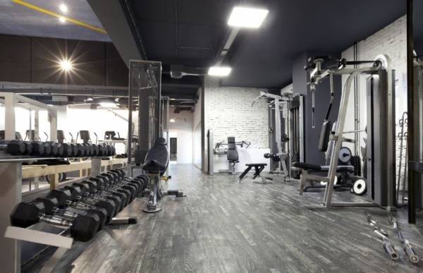  exquisite-wing-1 Gymnasium