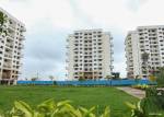 Elevation  ivy-estate-umang-premier Elevation