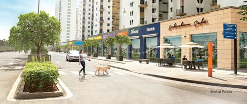  palava-clara-j-to-m Others