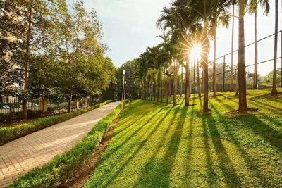  obelia-b Landscaped Gardens