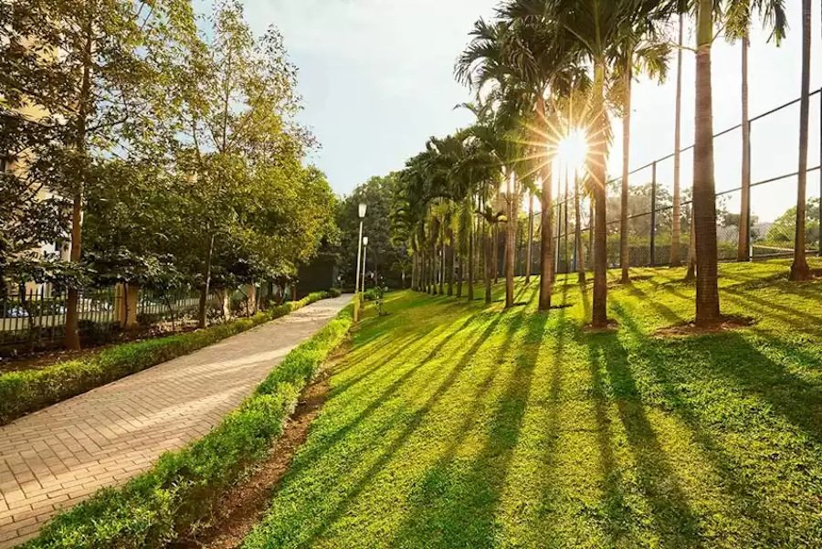  obelia b Landscaped Gardens