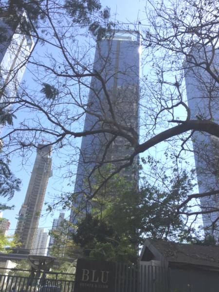  blu-tower-b Images for Project