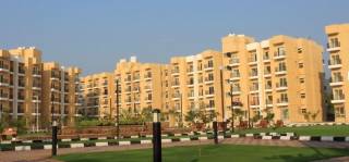 Project Image Project Image