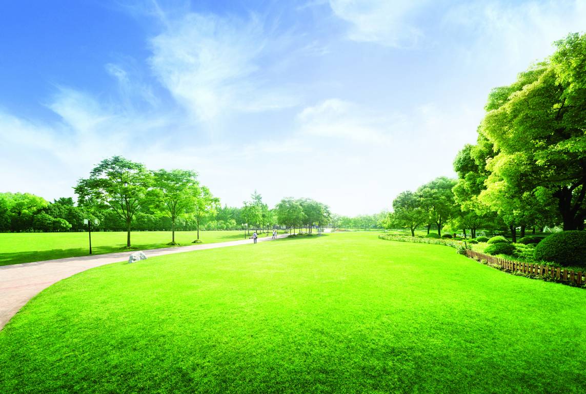 Images for Amenities of Kalpataru Immensa G