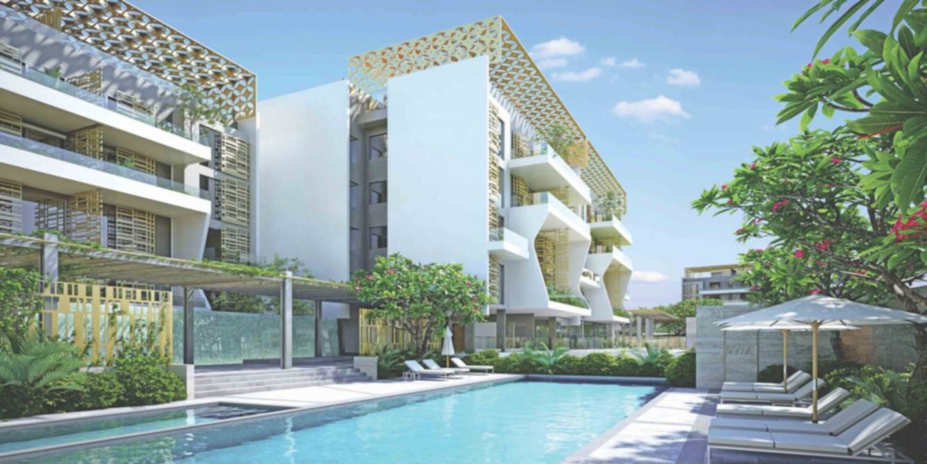  leher 2 wing a Images for Project