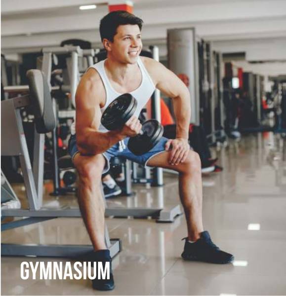  7-hills-phase-i Gymnasium