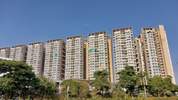 Akshar Green World