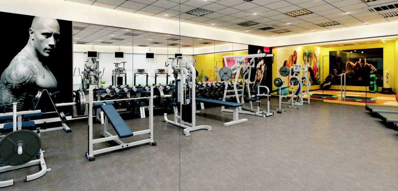  venkatesh oxy galaxy Gymnasium