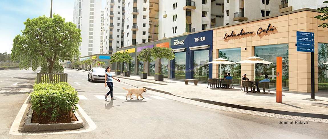  palava fontana c to h Others