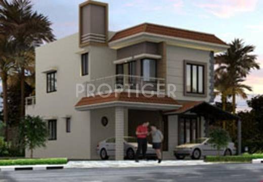 bellatrix Images for Elevation of Confident Bellatrix Images for Elevation of Confident Bellatrix