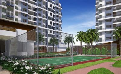  kingston-aura- Basketball Court