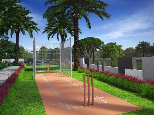  kingston-aura- Cricket Pitch