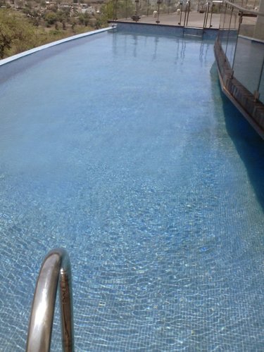  songbirds-phase-d Swimming Pool