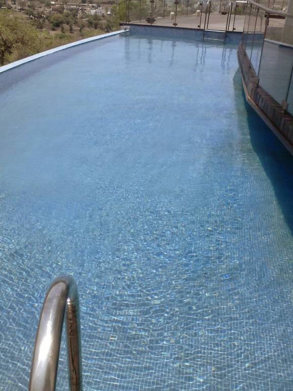  songbirds phase d Swimming Pool