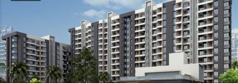  magic phase 1 Elevation