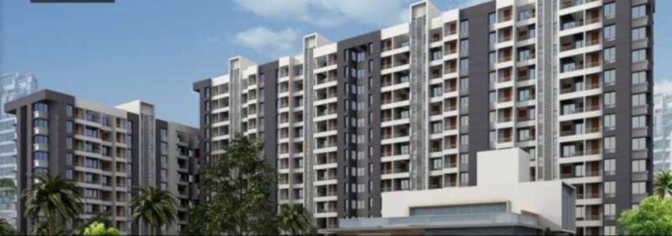  magic phase 2 Elevation