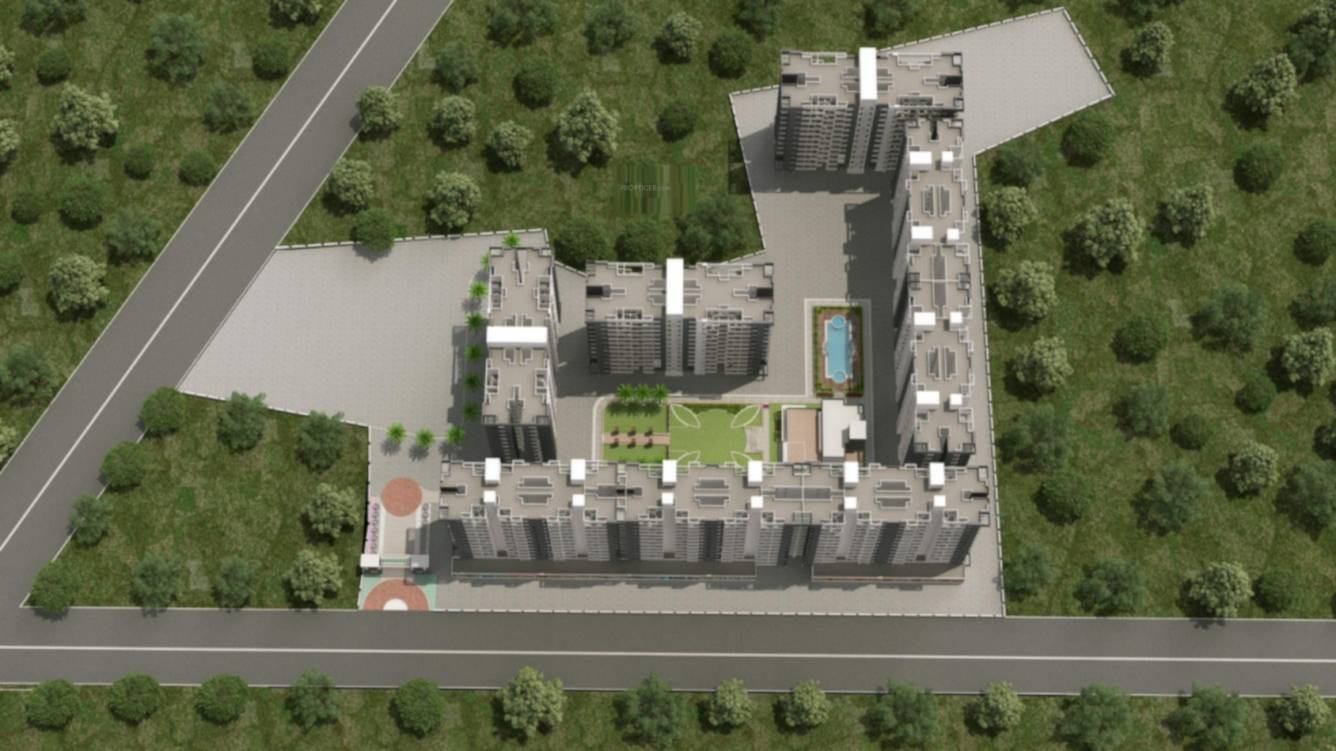  magic phase 2 Elevation