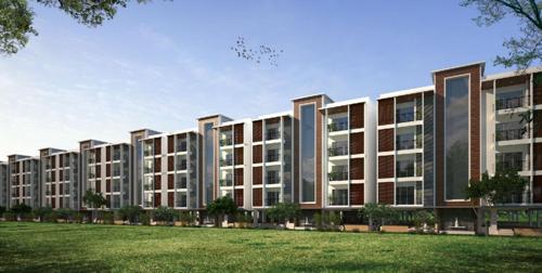 Images for Elevation of MDS One More Light