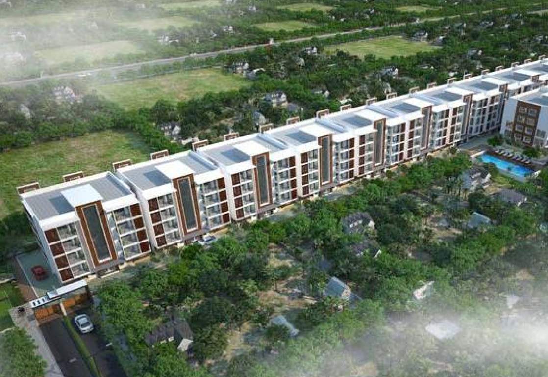 Images for Elevation of MDS One More Light