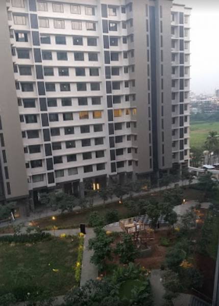  elements-wing-sc Elevation