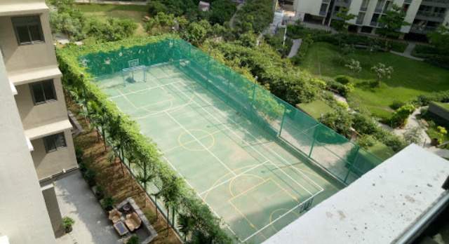  elements wing sc Others