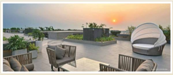  elements-wing-sc Others