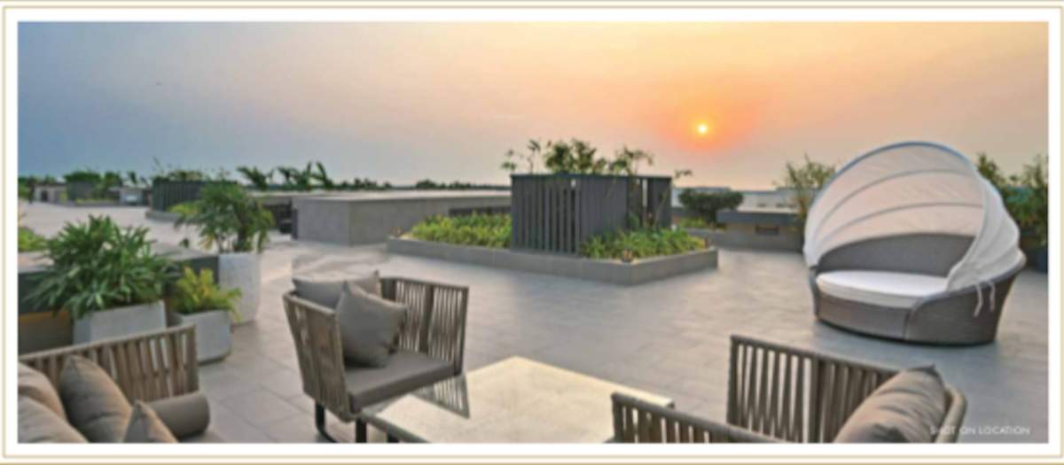  elements wing sc Others