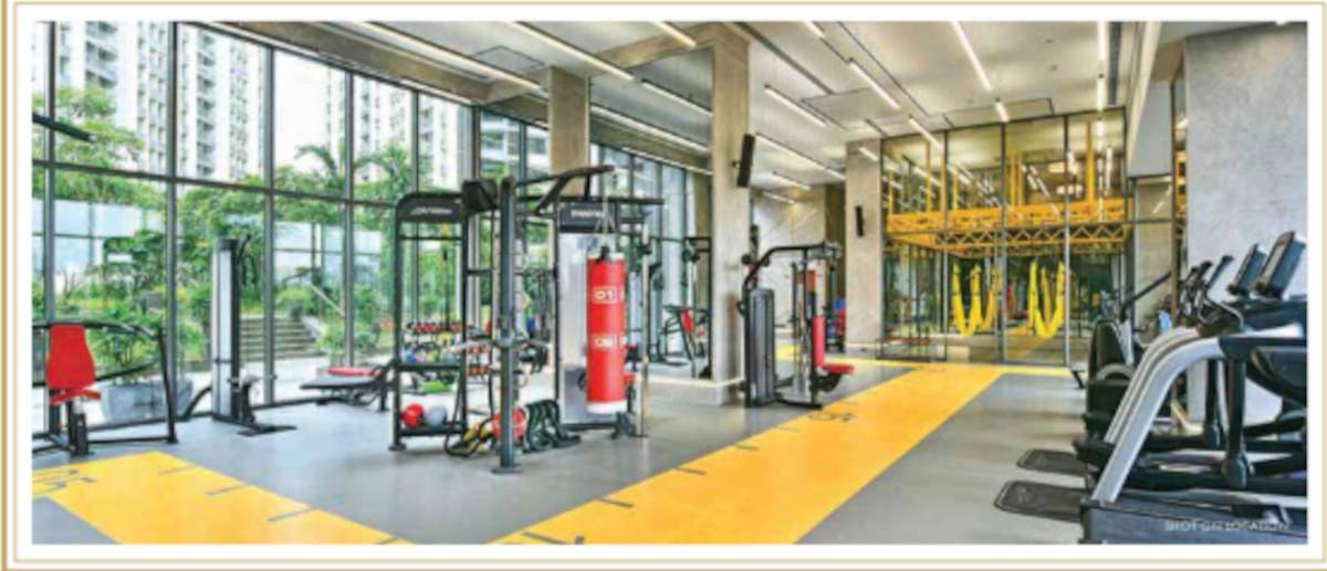  elements wing sc Others