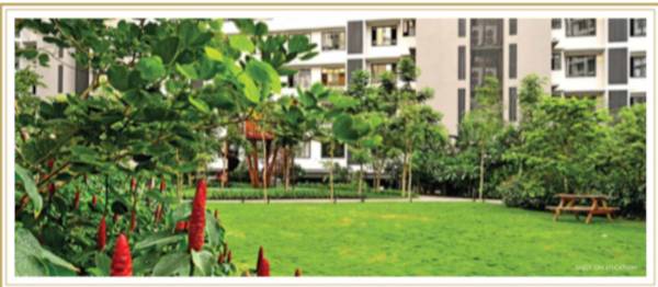  elements-wing-sc Others