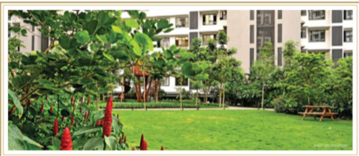  elements wing sc Others