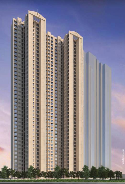 Elevation ikigai Elevation