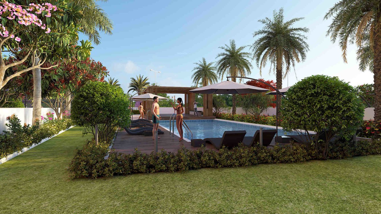  ikigai phase 1 Others