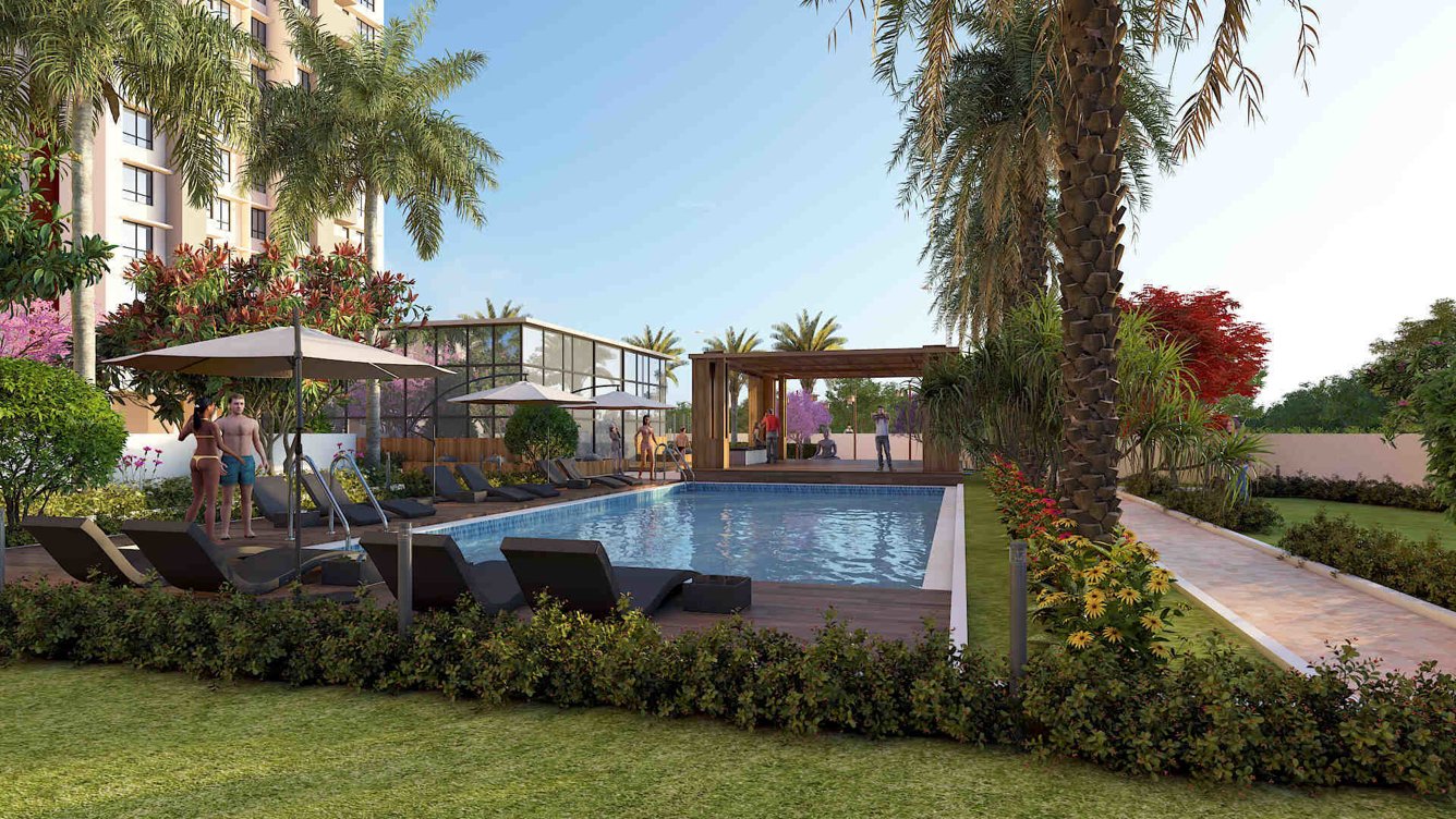  ikigai phase 1 Others