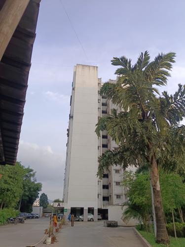  west-coast-park-phase-ii Landscape Garden and Tree Planting