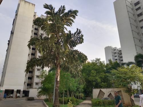  west-coast-park-phase-ii Landscape Garden and Tree Planting