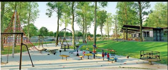  palava clara a to d d1 Others