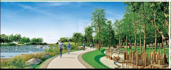  palava clara a to d d1 Others