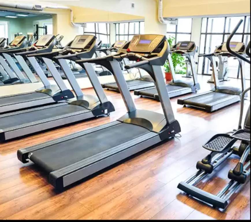  essence phase 1 Gymnasium