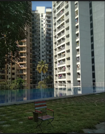  elite platina 19 Elevation