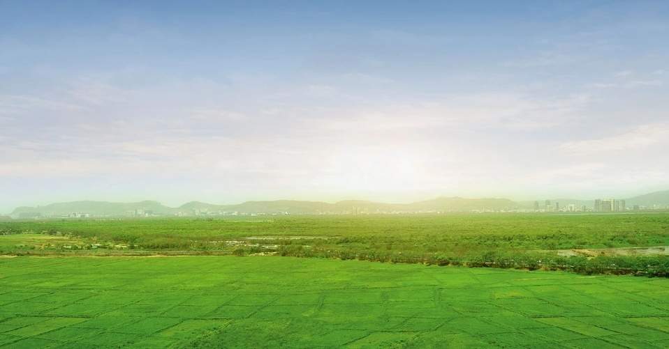  gardenvista at runwal bliss Others