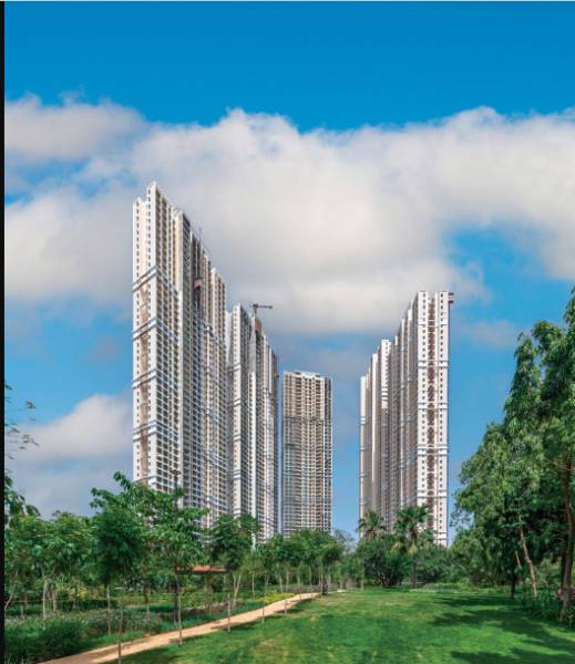  bliss-wing-d Elevation