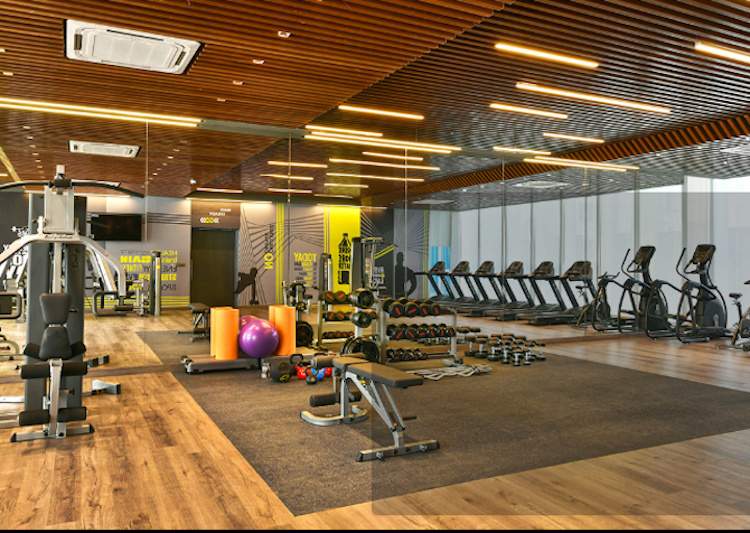  my city phase i part ii Gymnasium